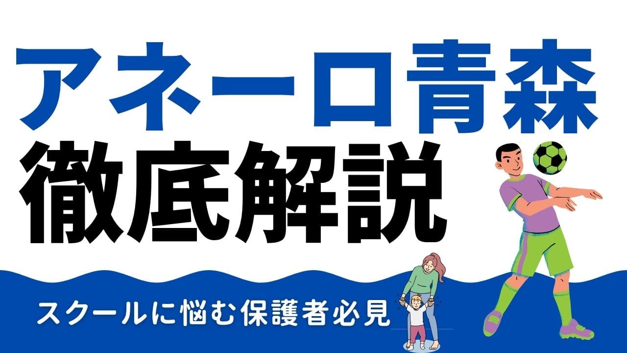 アネーロサッカースクールについて